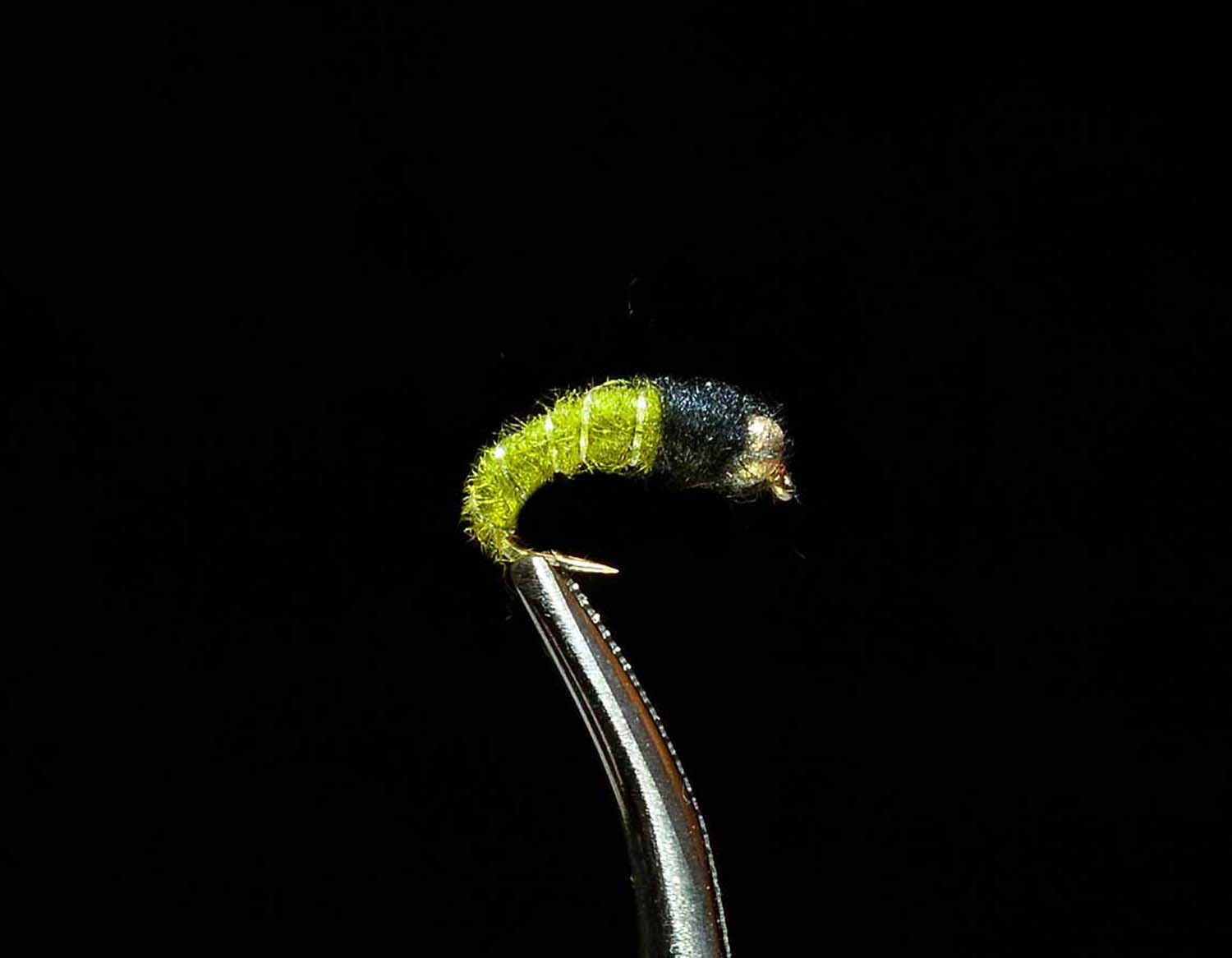 Beadhead Caddis LArva
