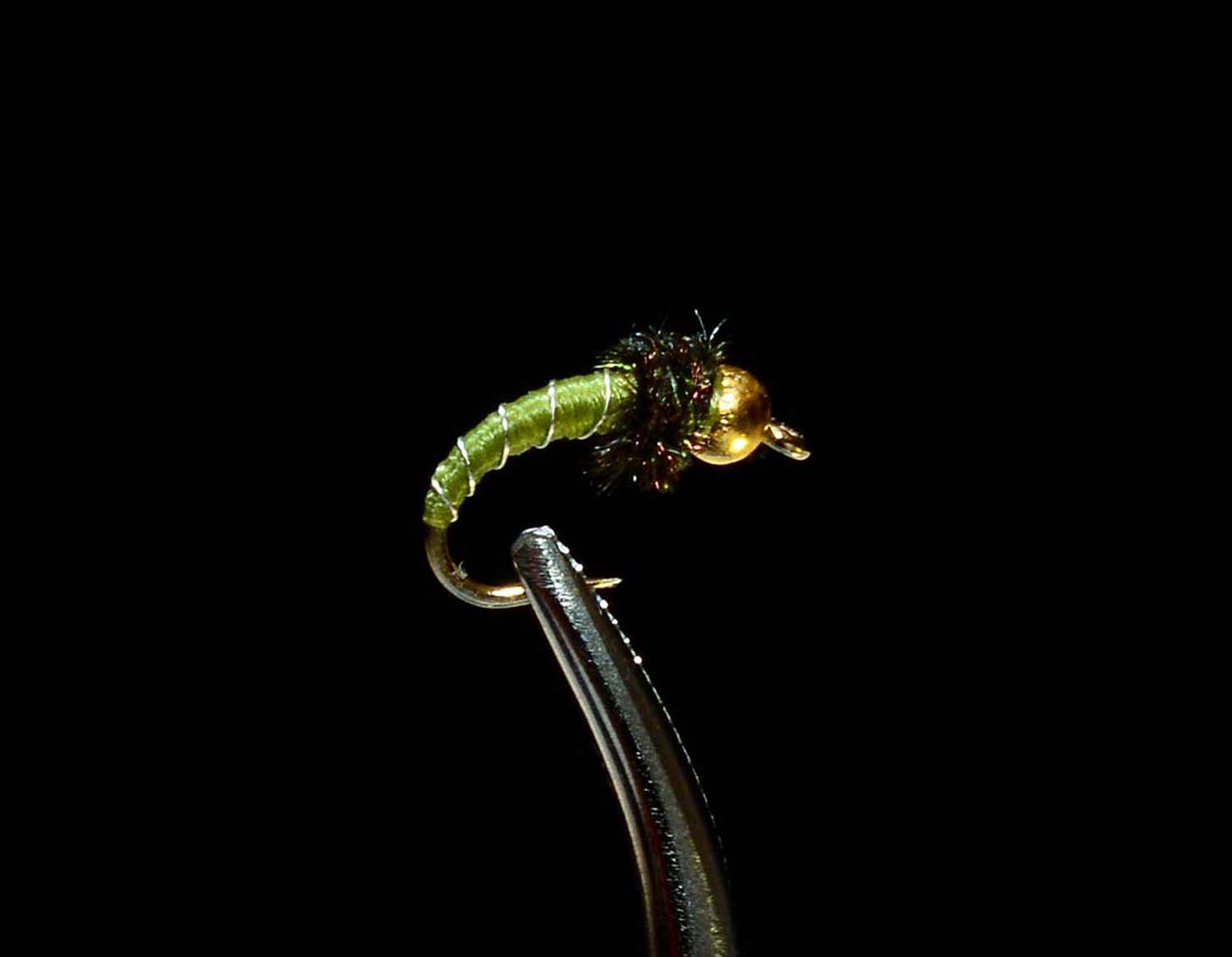 Zebra Midge