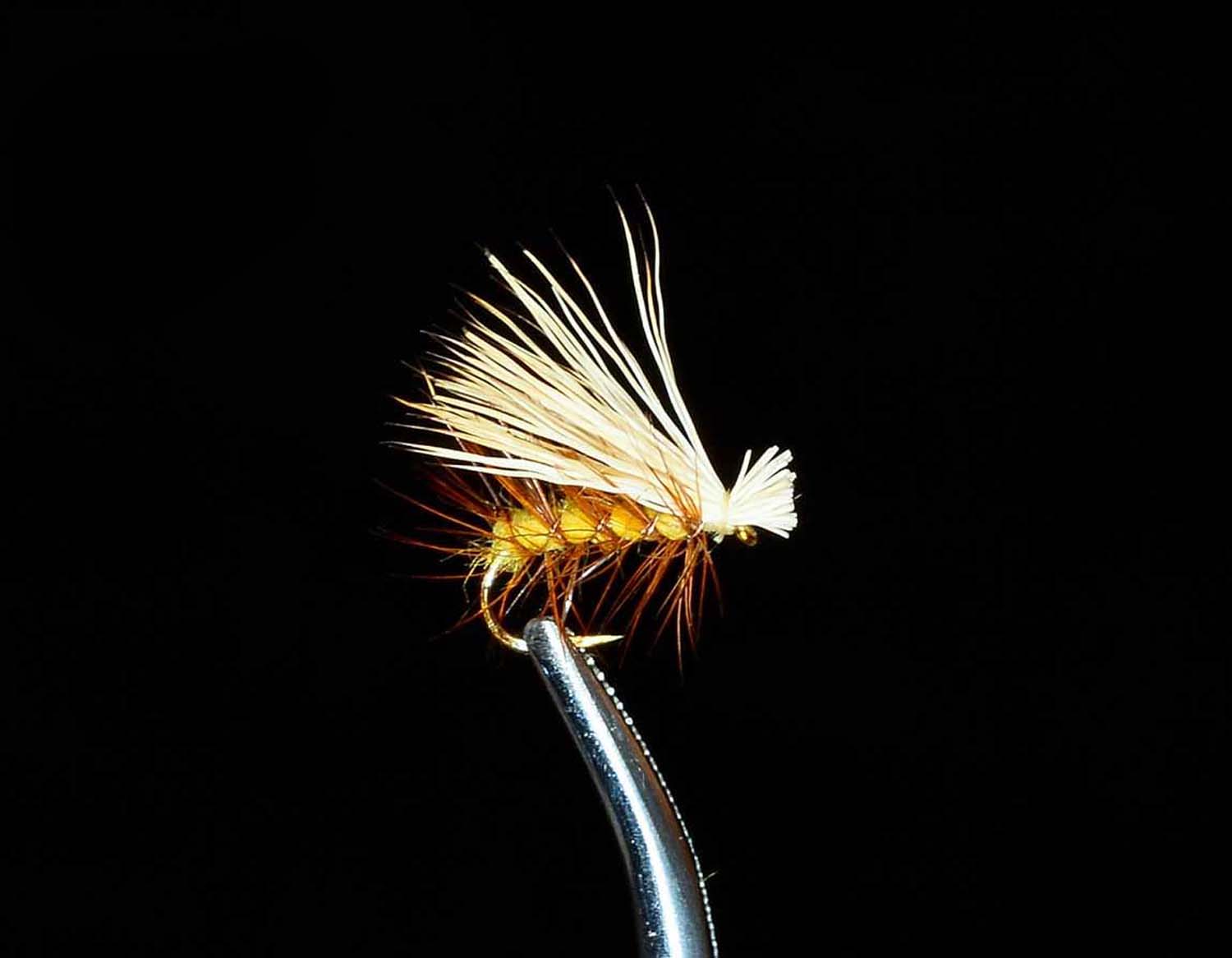 Elk Hair Caddis