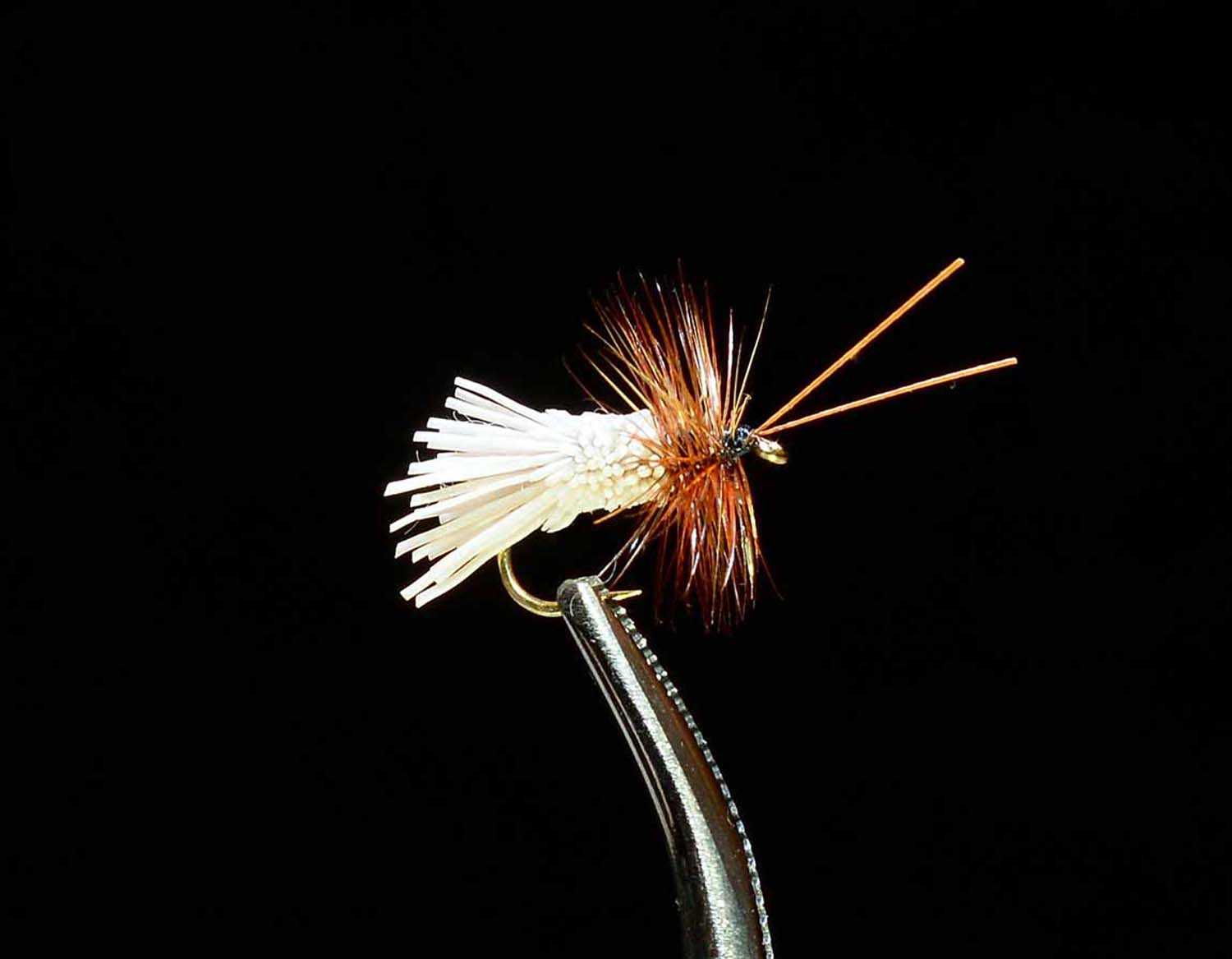 Goddard Caddis