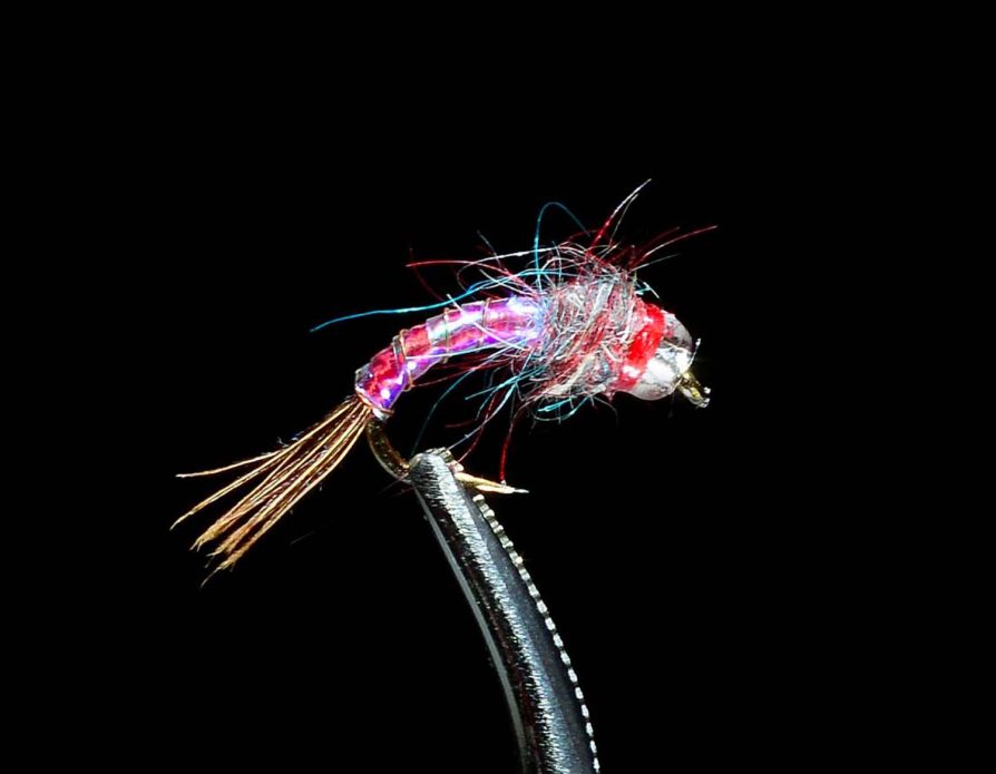 Rainbow Warrior