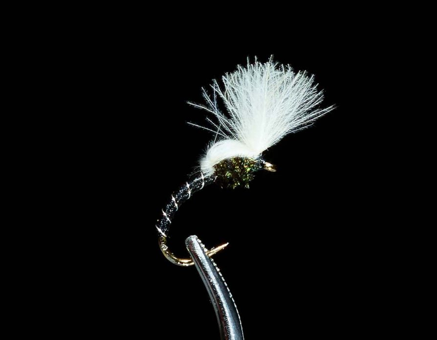 Midge Lifecycle Assortment