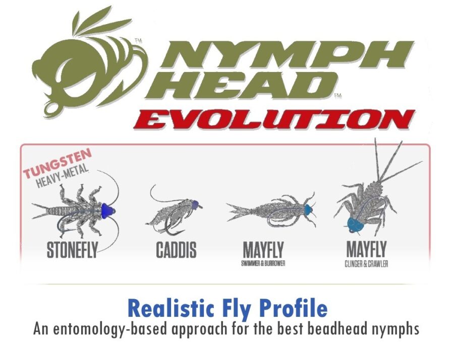 Nymph Head Evolution Assortment