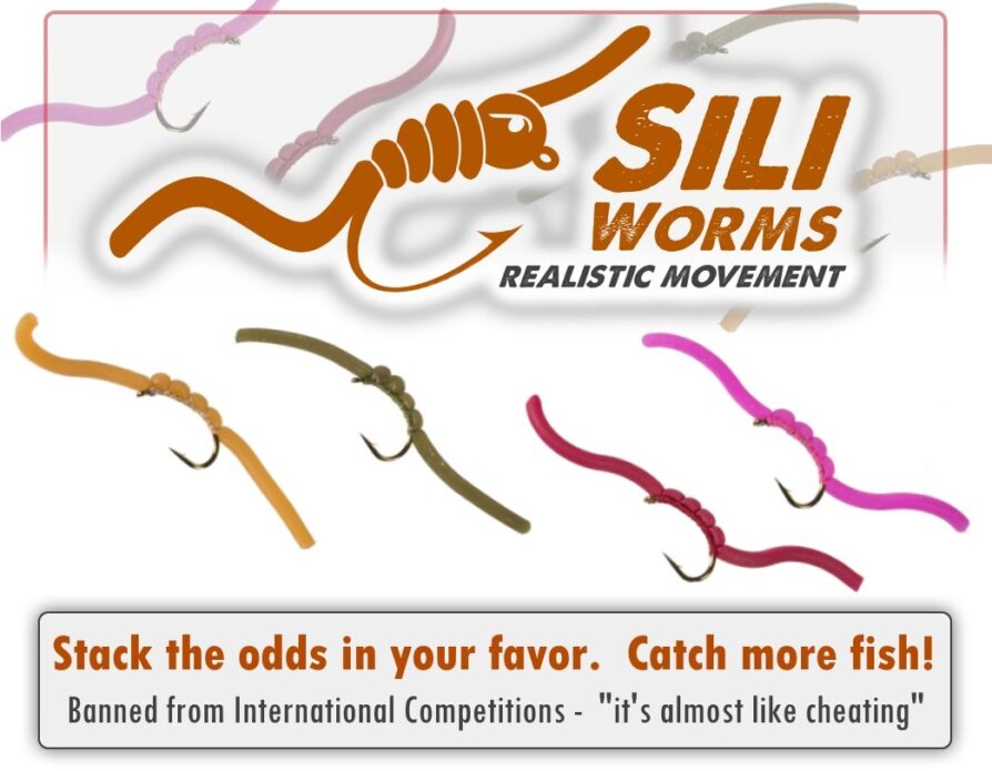 Sili Worm Nymph Assortment