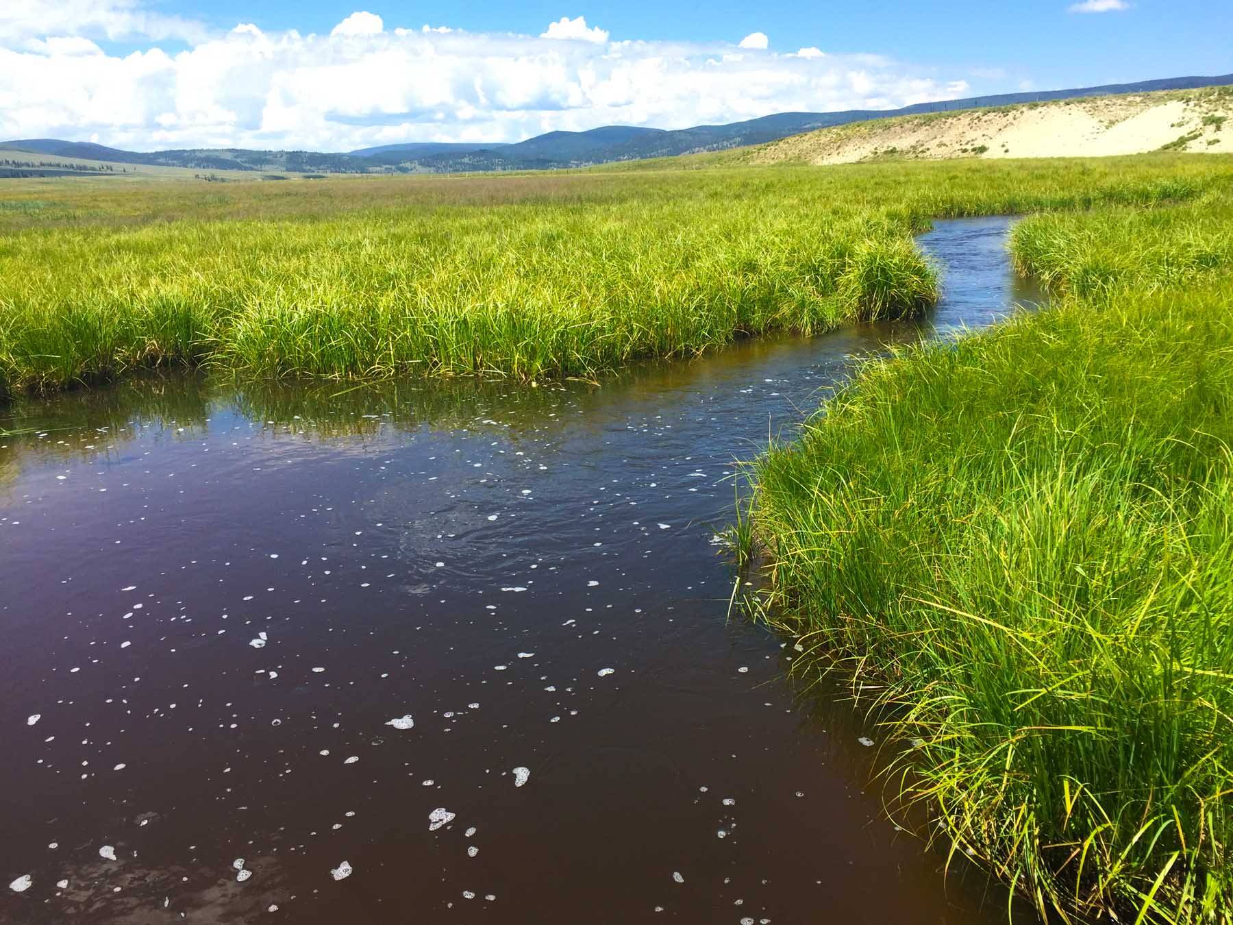 The Most Important Fly Fishing Article You’ll Ever Read