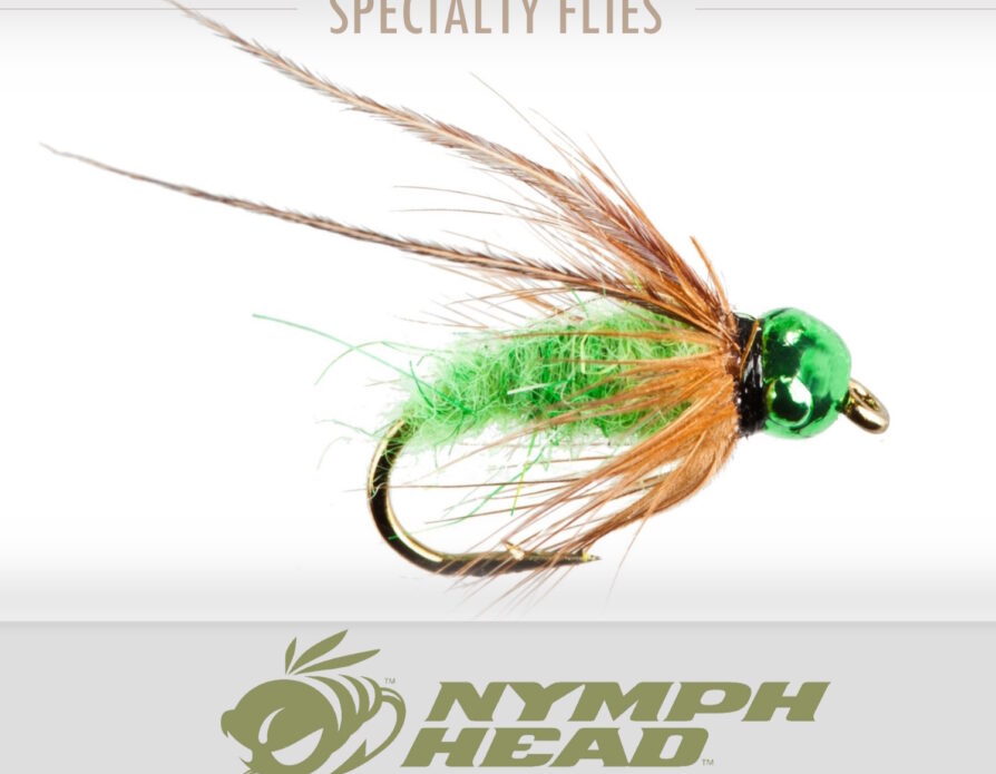 Nymph-Head Caddis Larva/Pupa (6 pack)