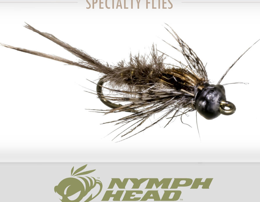 Nymph-Head Evolution (6 pack)