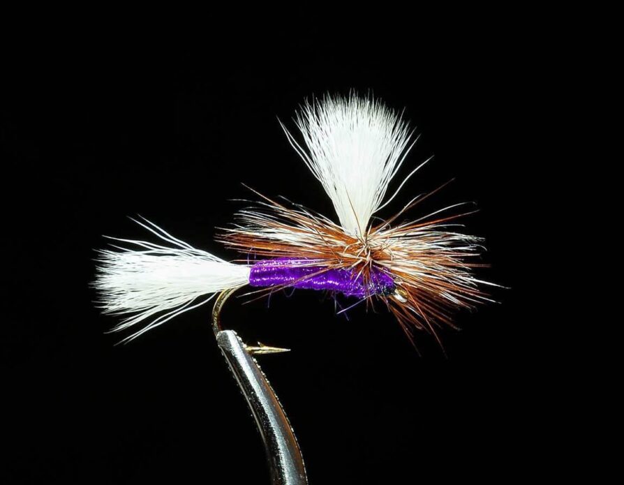 Purple Haze
