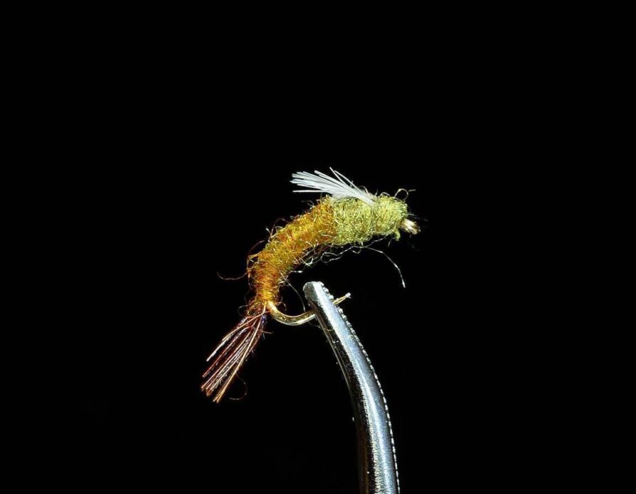 Mayfly Emerger