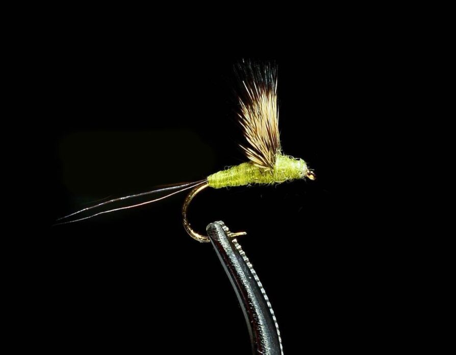 Comparadun Green Drake
