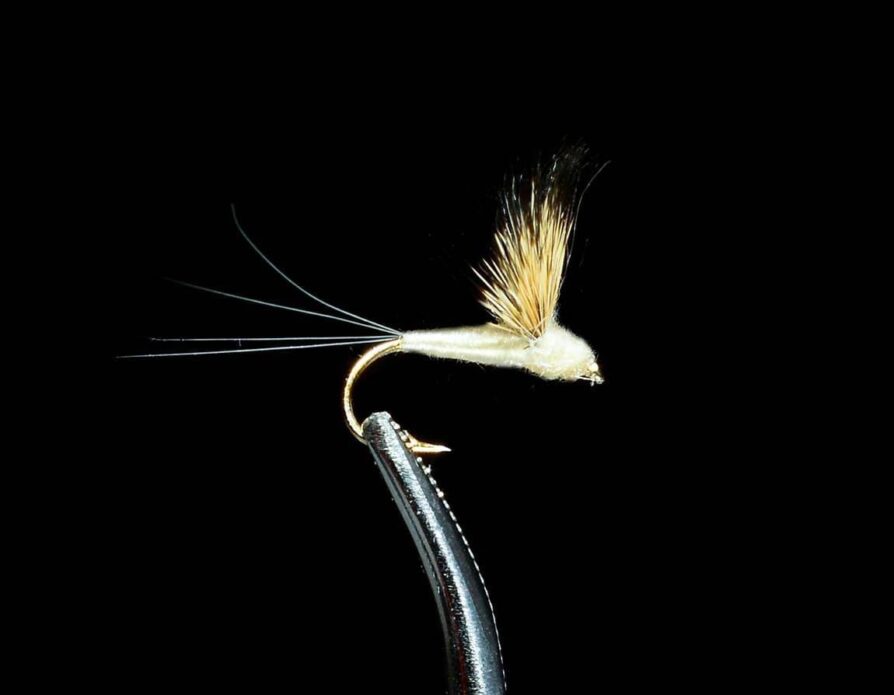 Comparadun Sulphur