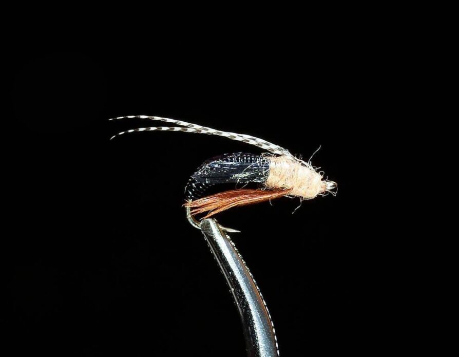 Electric Caddis Pupa