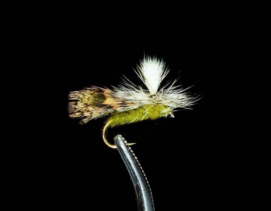 EZ Caddis