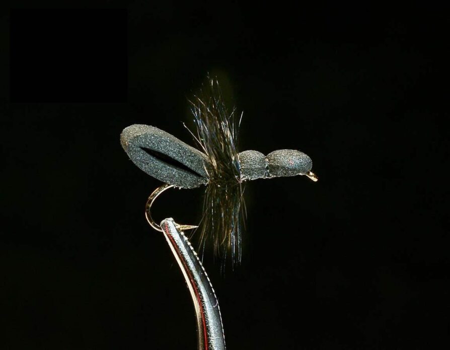 Foam Ant