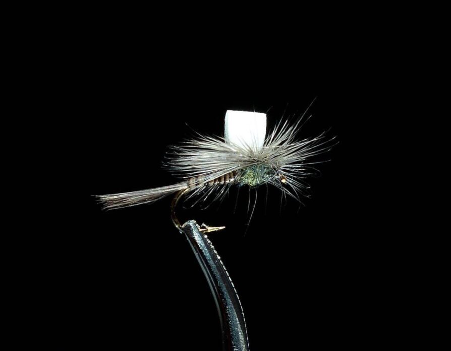 Foam Wing Parachute Biot Adams