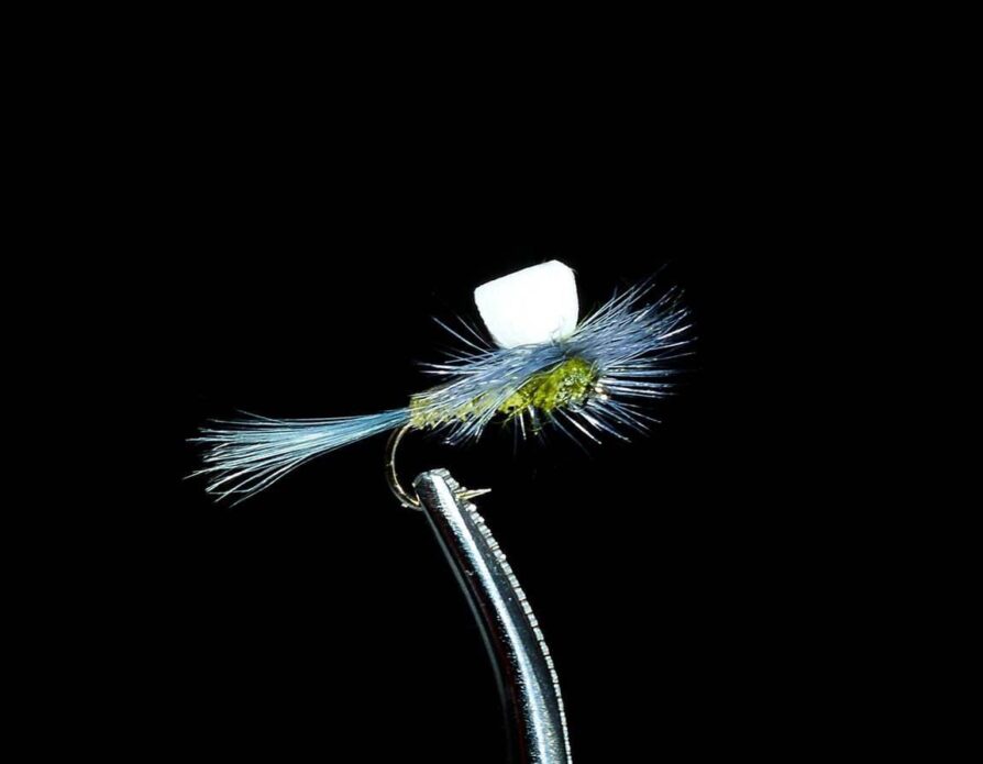 Foam Wing Parachute BWO