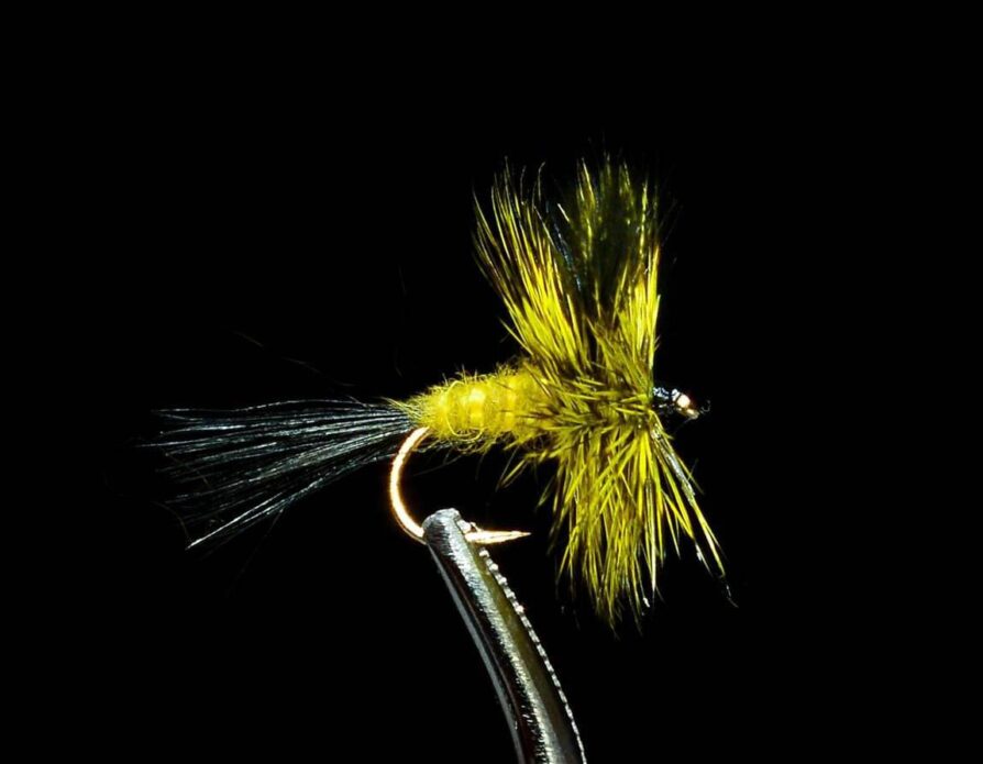 Green Drake