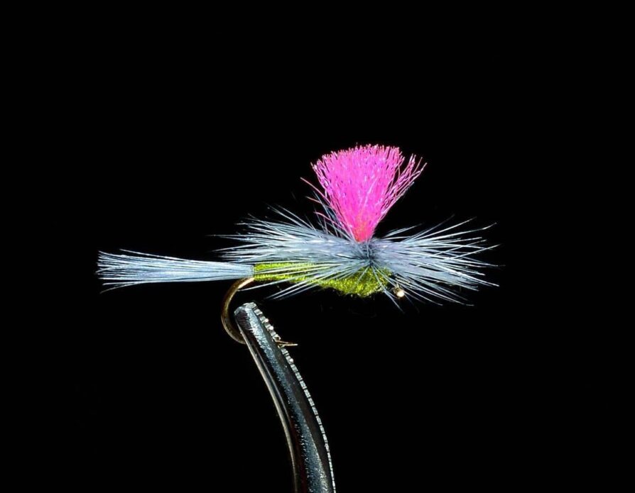 Parachute BWO