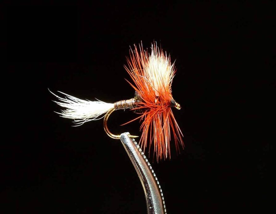 HL Variant