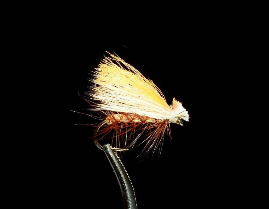 Hotwing Caddis