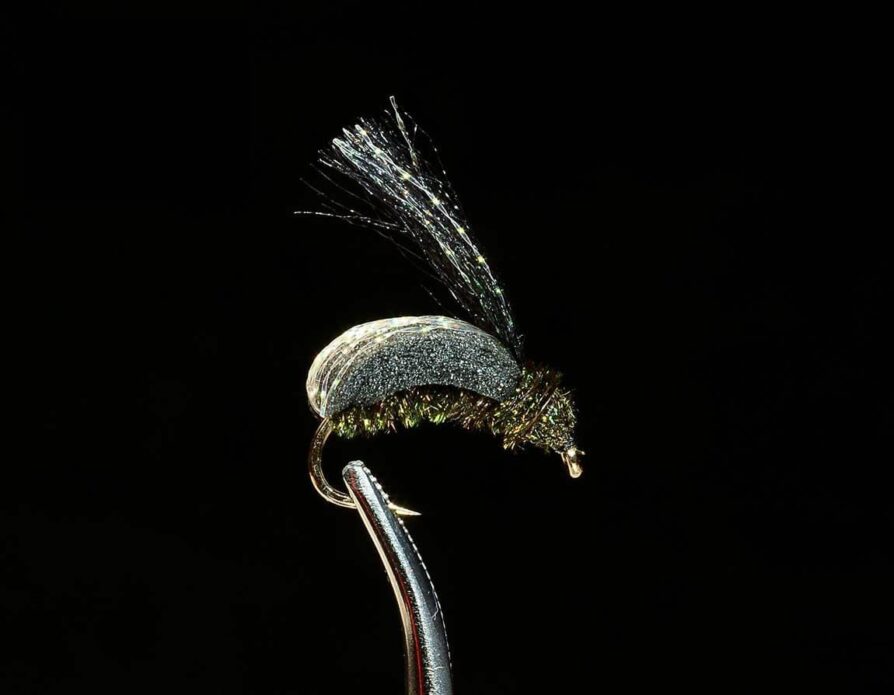 Japanese Beetle