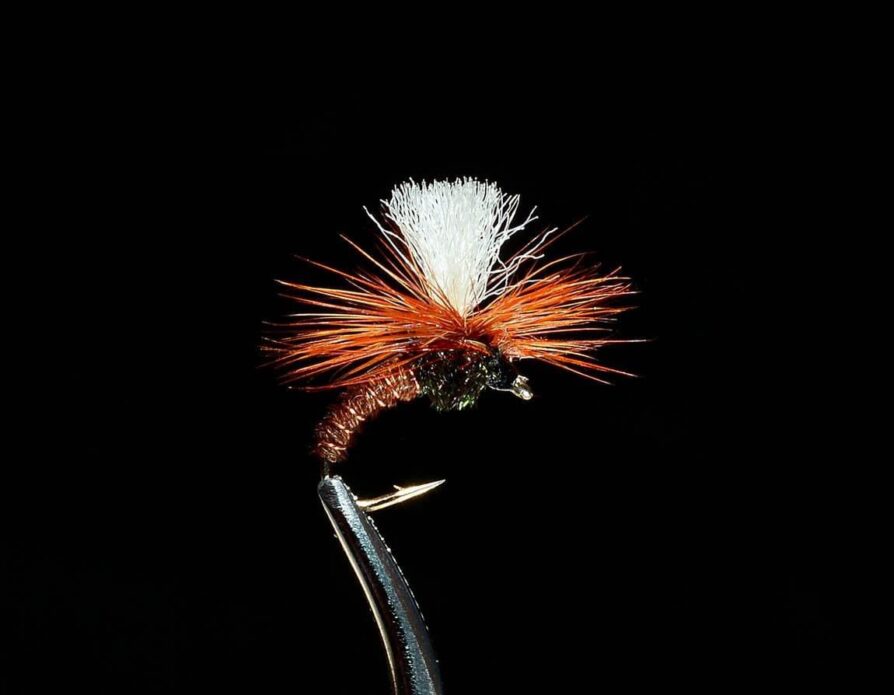 Klinkhammer Midge