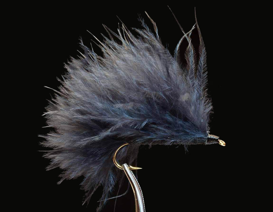 Marabou Leech