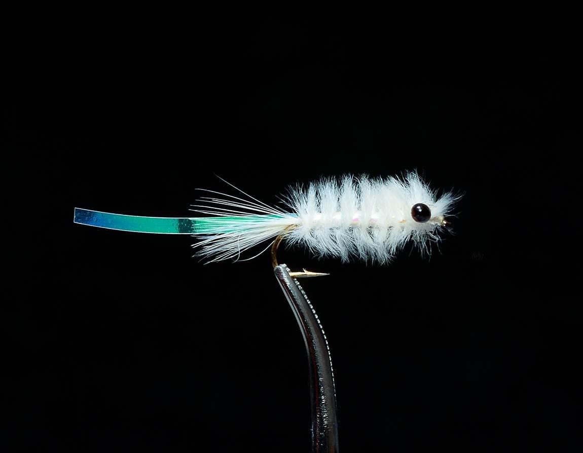 Mysis Shrimp