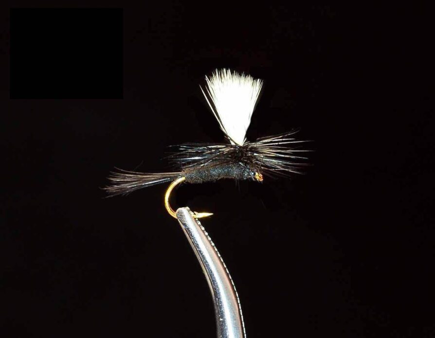 Parachute Black Gnat