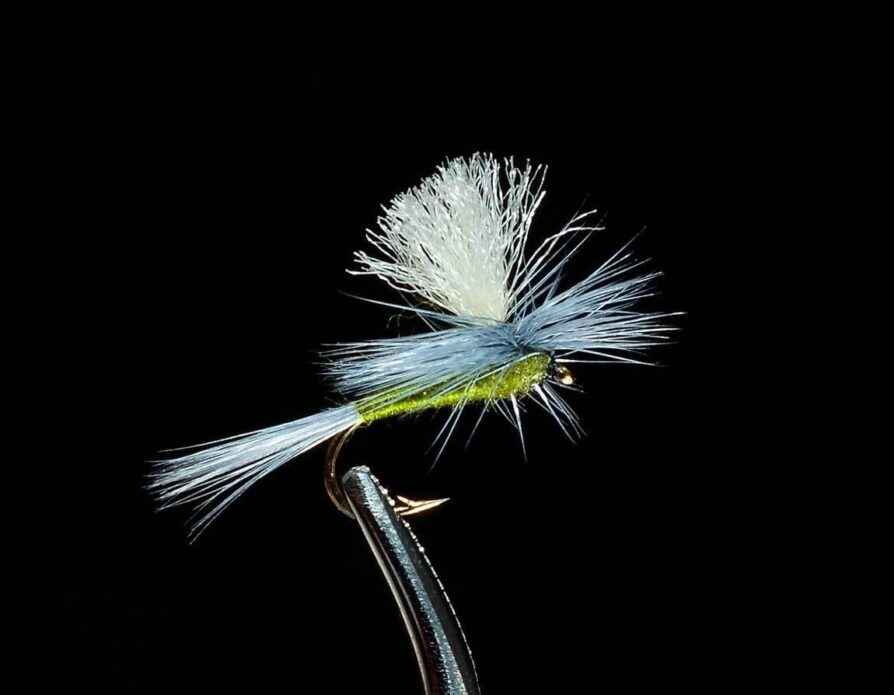 Parachute Blue Wing Olive