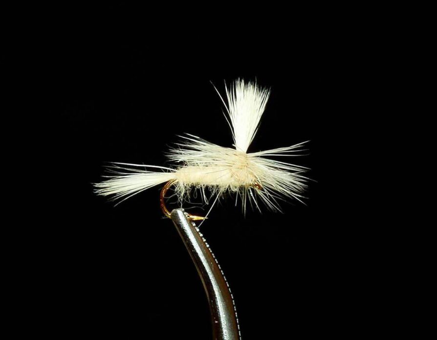 Parachute Cahill Light