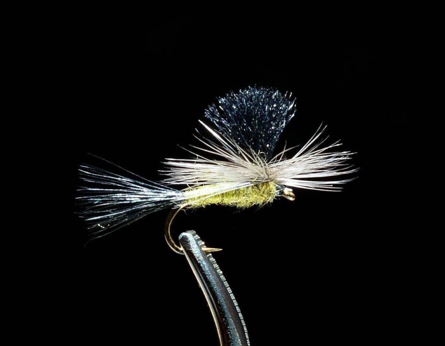 Parachute Green Drake