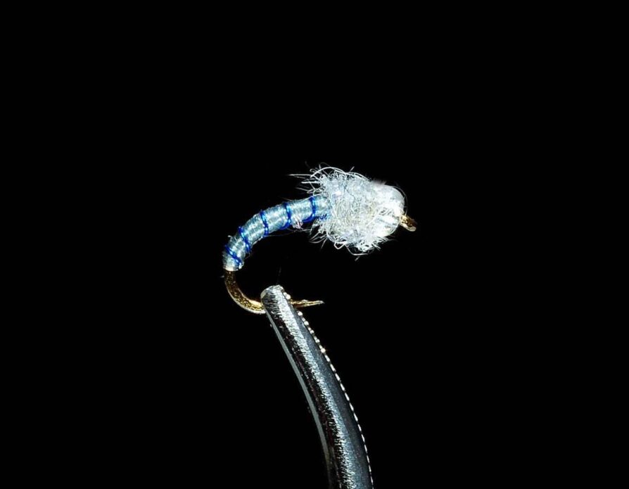 Poison Tongue Midge