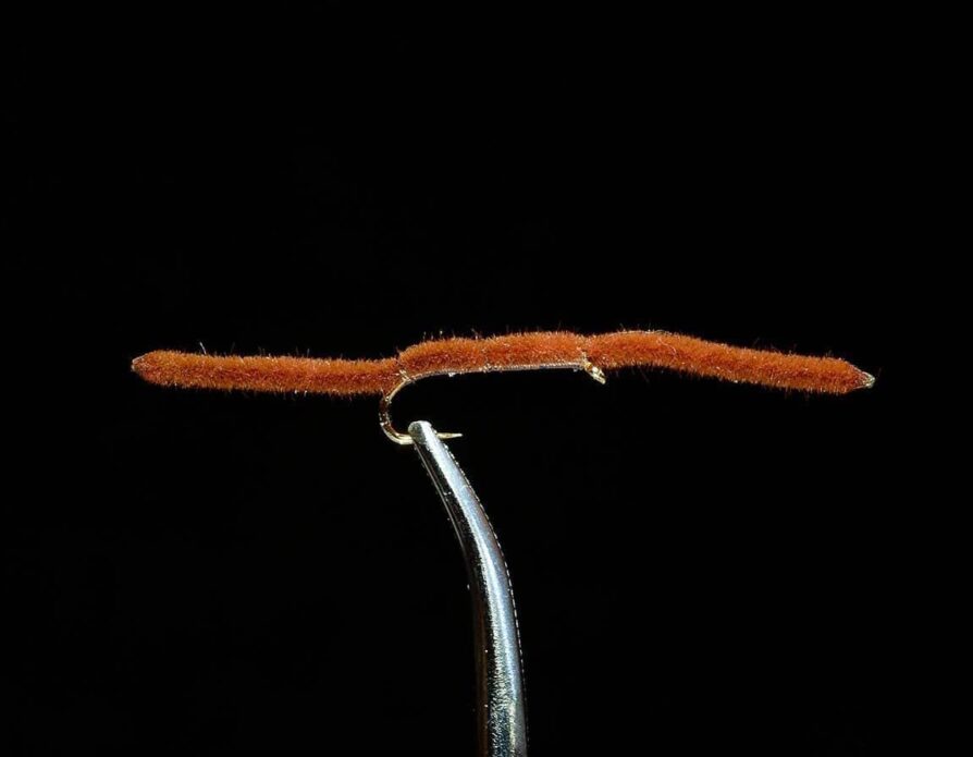 San Juan Worm