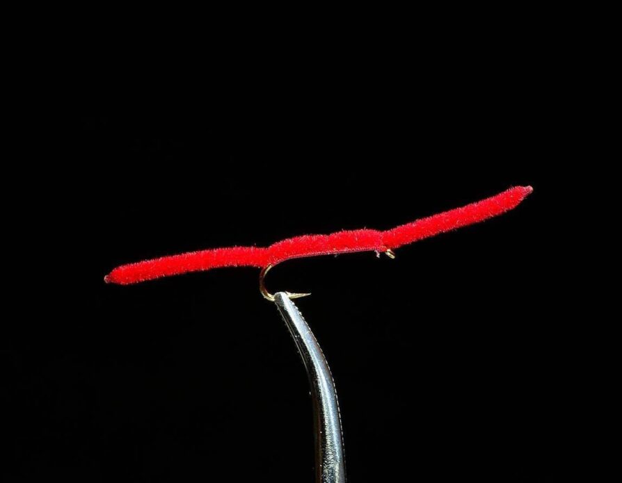San Juan Worm