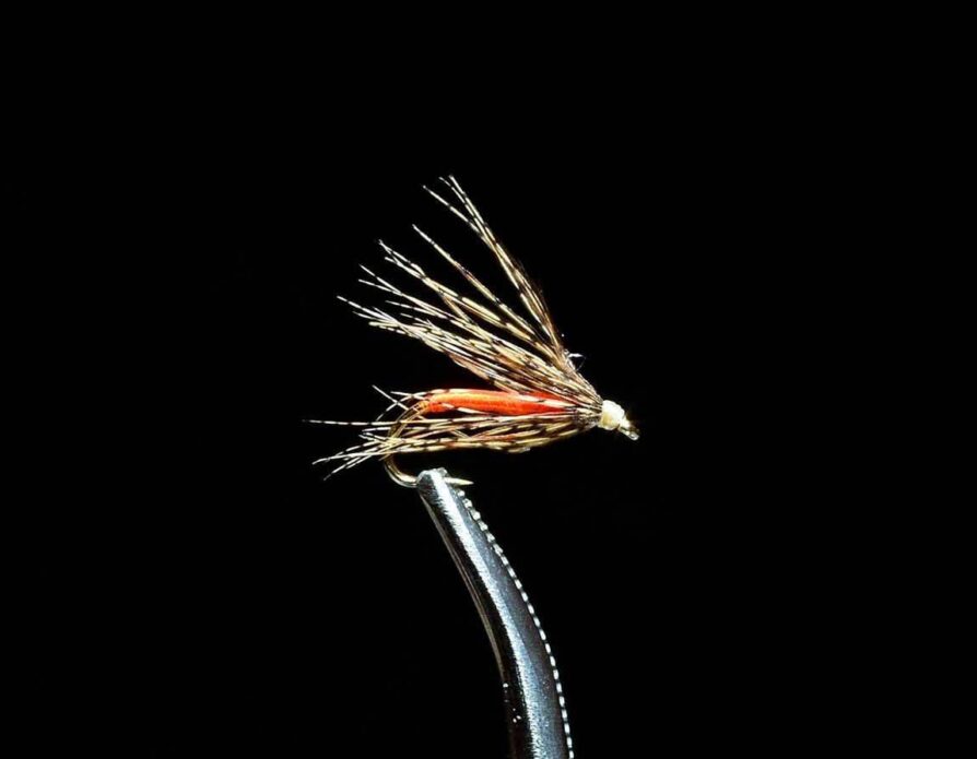 Soft Hackle Attractor Orange